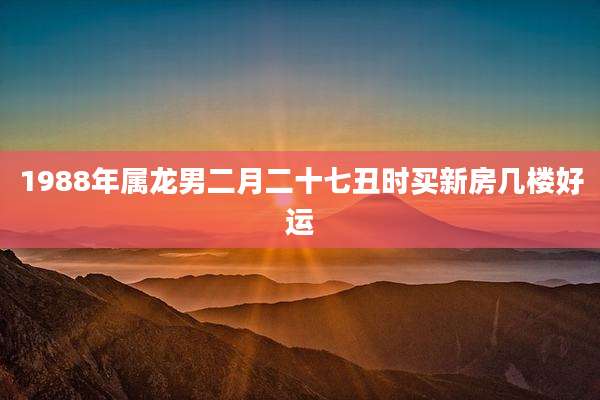 1988年属龙男二月二十七丑时买新房几楼好运