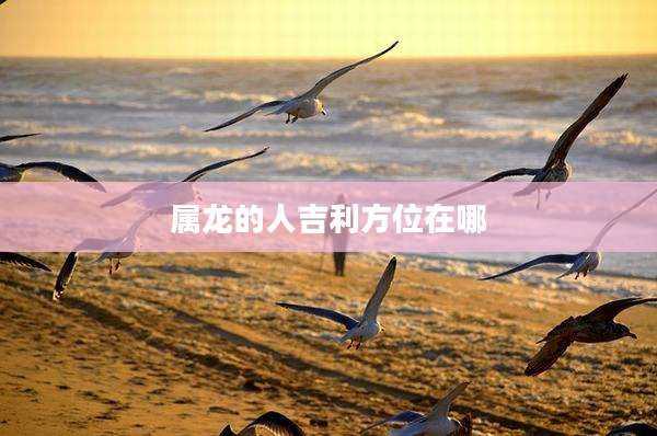 属龙的人吉利方位在哪