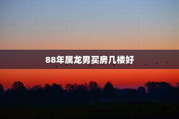 88年属龙男买房几楼好