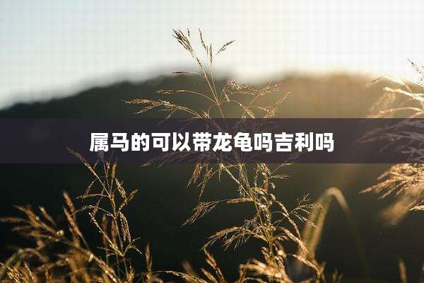 属马的可以带龙龟吗吉利吗