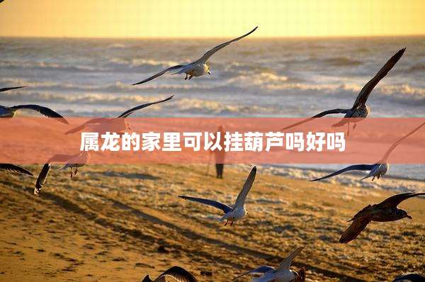 属龙的家里可以挂葫芦吗好吗