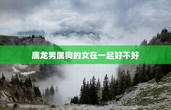 属龙男属狗的女在一起好不好