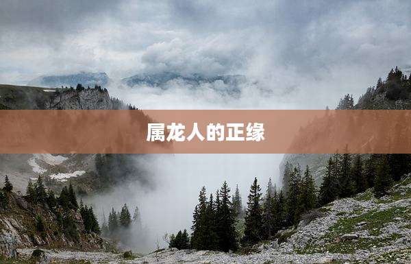 属龙人的正缘