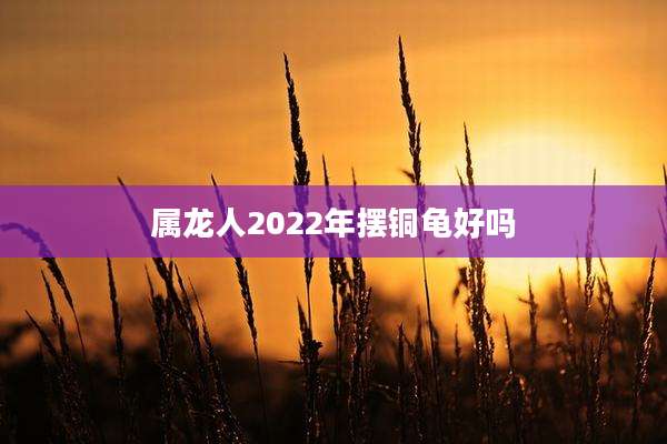 属龙人2022年摆铜龟好吗