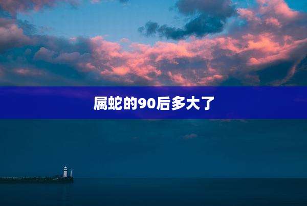 属蛇的90后多大了