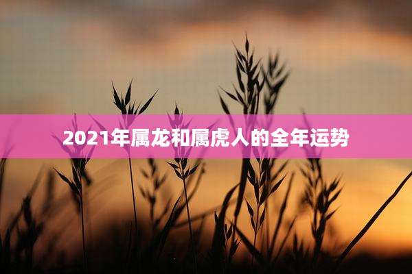 2021年属龙和属虎人的全年运势