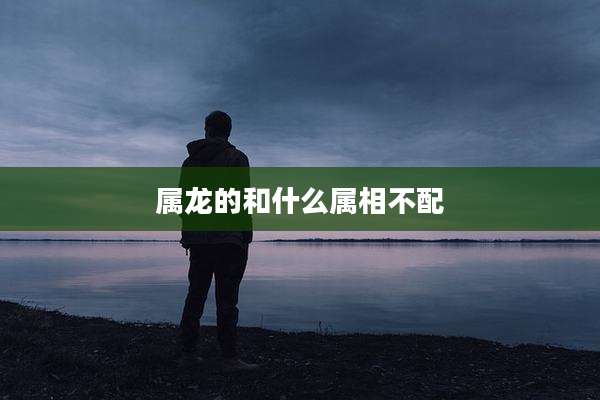属龙的和什么属相不配