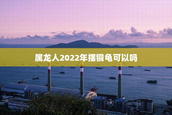 属龙人2022年摆铜龟可以吗