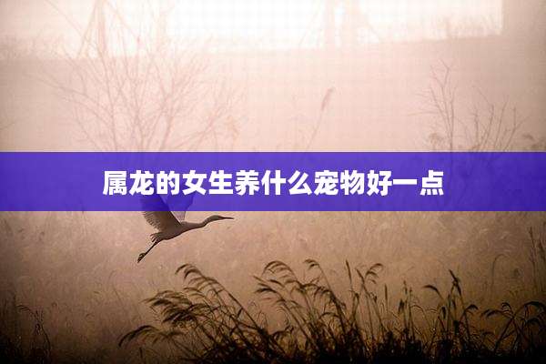 属龙的女生养什么宠物好一点