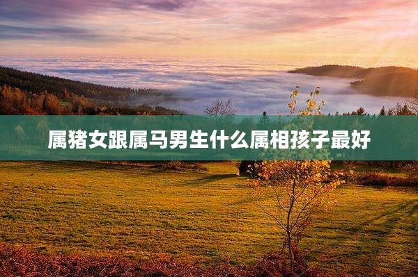 属猪女跟属马男生什么属相孩子最好