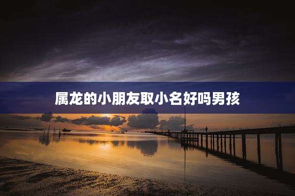 属龙的小朋友取小名好吗男孩