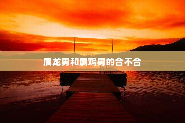 属龙男和属鸡男的合不合