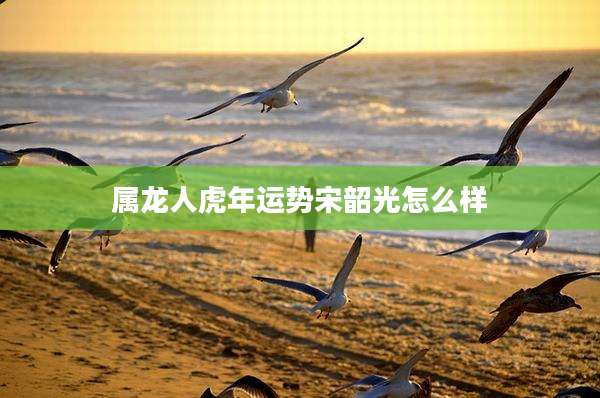 属龙人虎年运势宋韶光怎么样