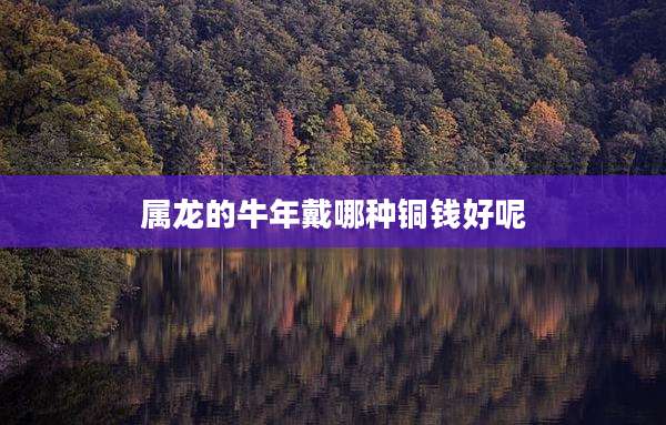 属龙的牛年戴哪种铜钱好呢