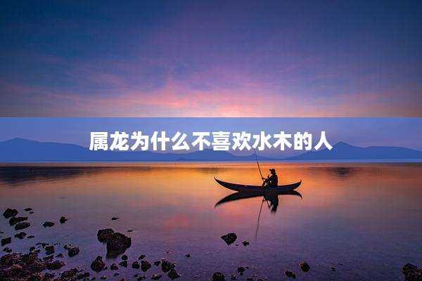 属龙为什么不喜欢水木的人