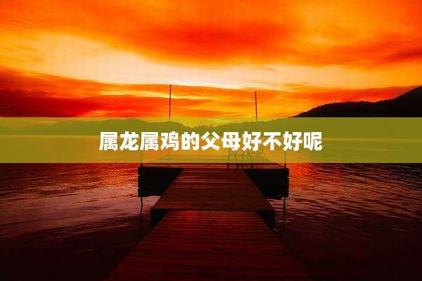 属龙属鸡的父母好不好呢