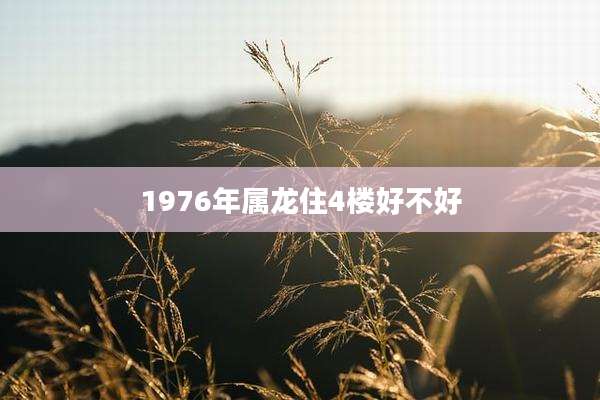 1976年属龙住4楼好不好