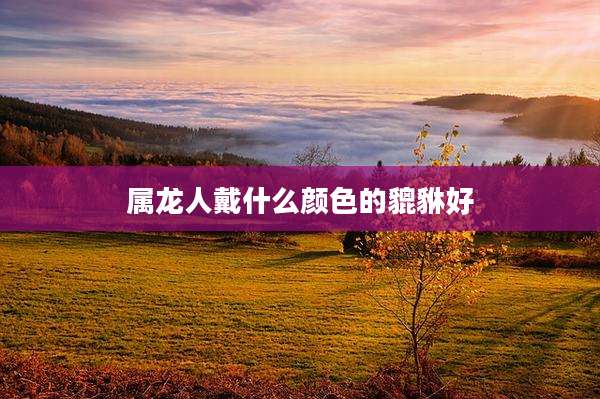 属龙人戴什么颜色的貔貅好