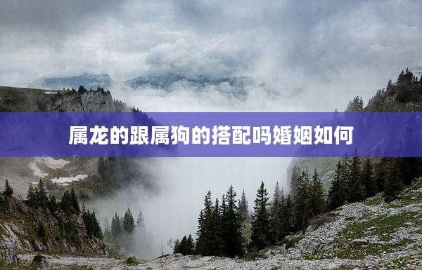 属龙的跟属狗的搭配吗婚姻如何