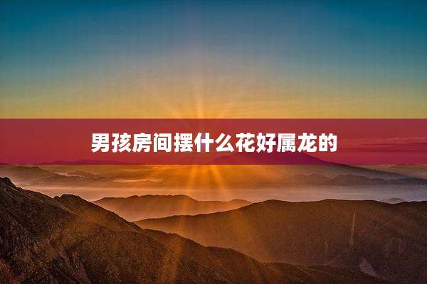 男孩房间摆什么花好属龙的