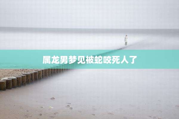 属龙男梦见被蛇咬死人了
