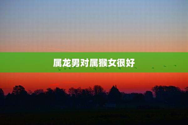 属龙男对属猴女很好