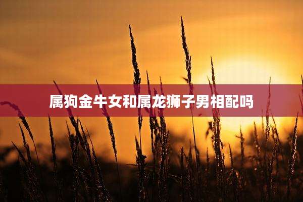 属狗金牛女和属龙狮子男相配吗