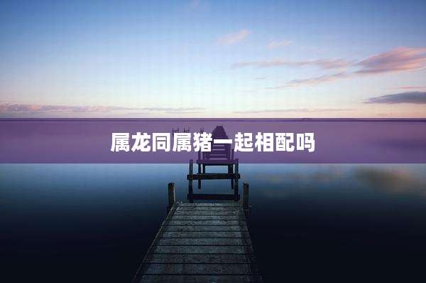 属龙同属猪一起相配吗