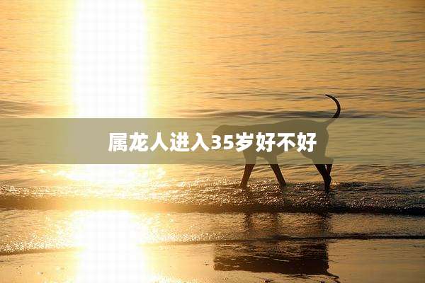 属龙人进入35岁好不好