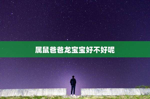属鼠爸爸龙宝宝好不好呢