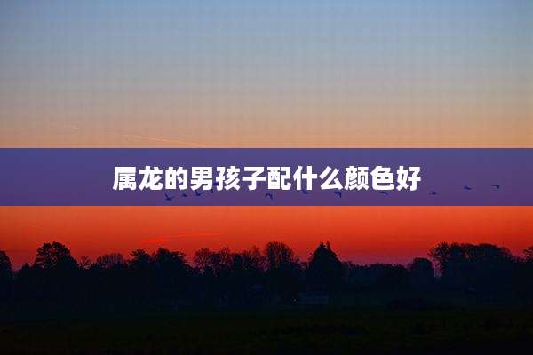 属龙的男孩子配什么颜色好