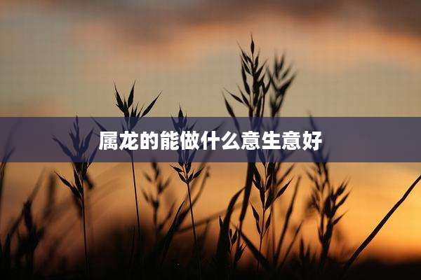 属龙的能做什么意生意好