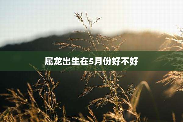 属龙出生在5月份好不好