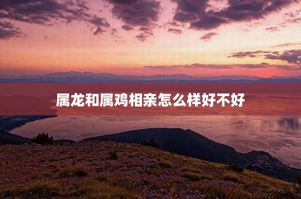 属龙和属鸡相亲怎么样好不好