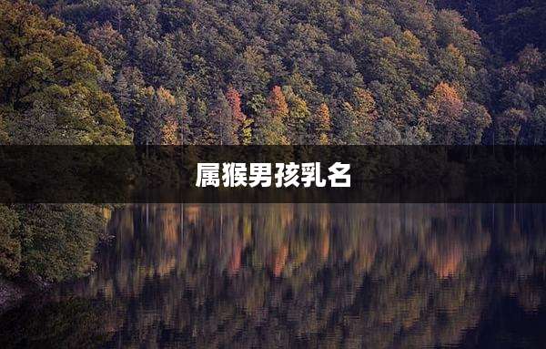 属猴男孩乳名