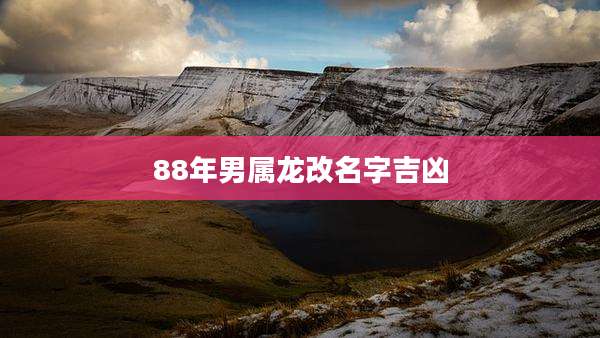 88年男属龙改名字吉凶