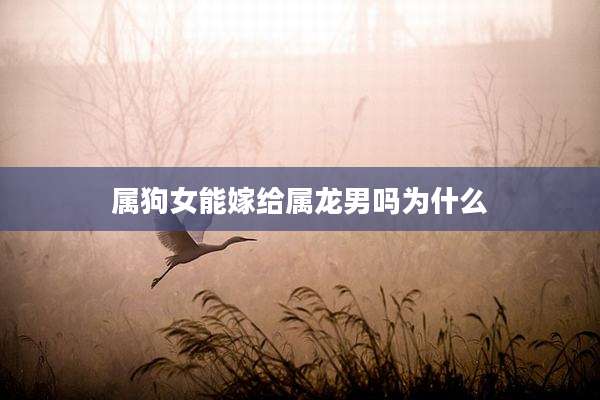属狗女能嫁给属龙男吗为什么
