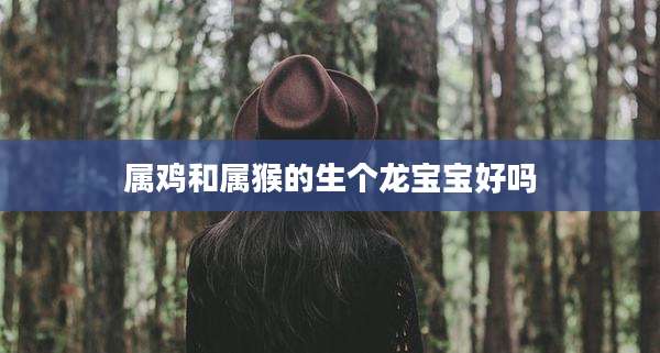 属鸡和属猴的生个龙宝宝好吗