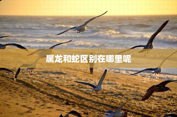 属龙和蛇区别在哪里呢