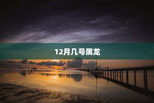 12月几号属龙