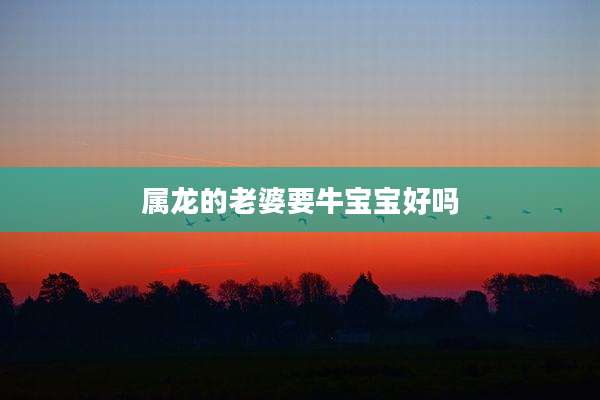 属龙的老婆要牛宝宝好吗