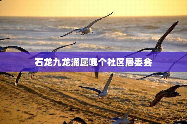 石龙九龙涌属哪个社区居委会