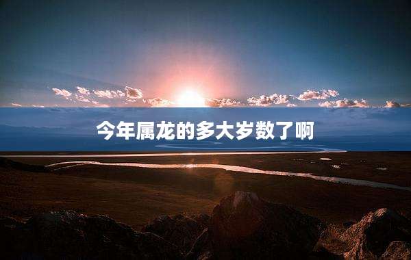 今年属龙的多大岁数了啊