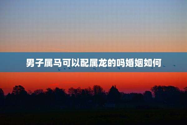 男子属马可以配属龙的吗婚姻如何