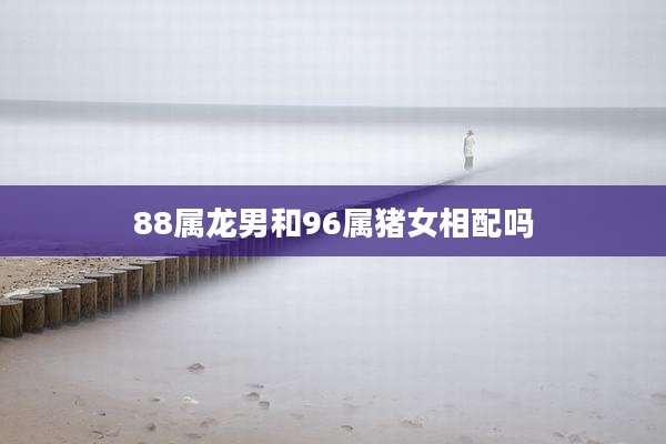 88属龙男和96属猪女相配吗