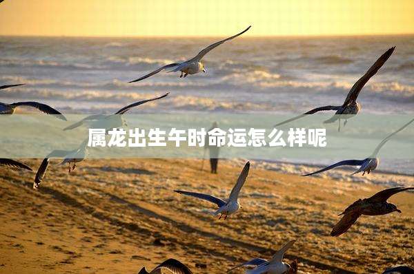 属龙出生午时命运怎么样呢