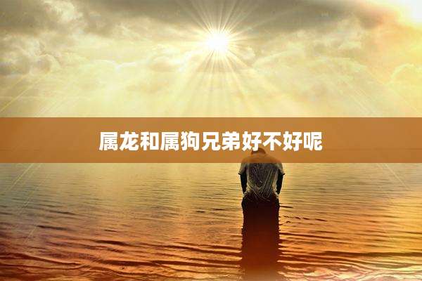 属龙和属狗兄弟好不好呢