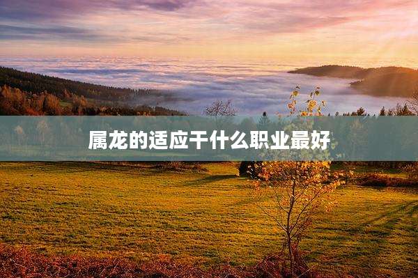 属龙的适应干什么职业最好