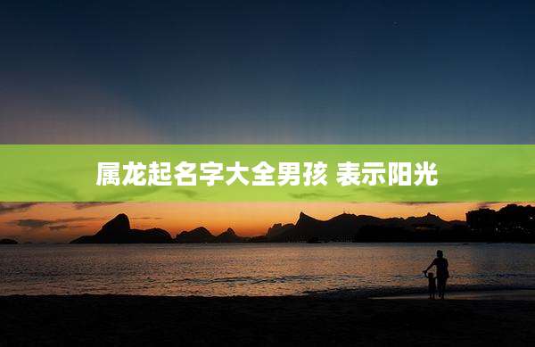 属龙起名字大全男孩 表示阳光