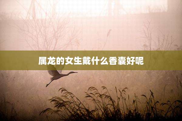 属龙的女生戴什么香囊好呢